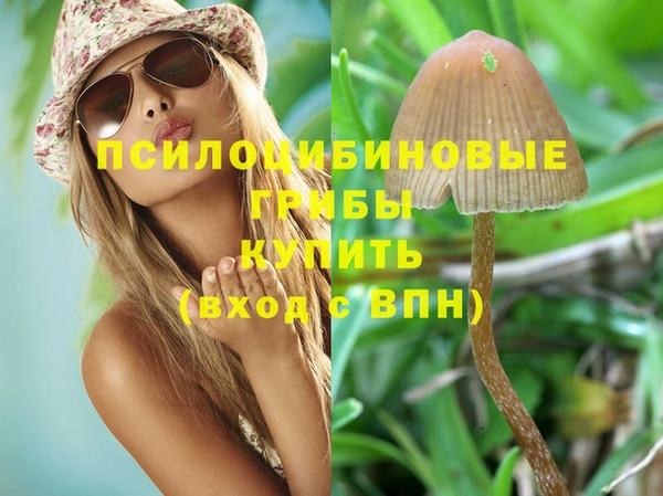 амф Алексин