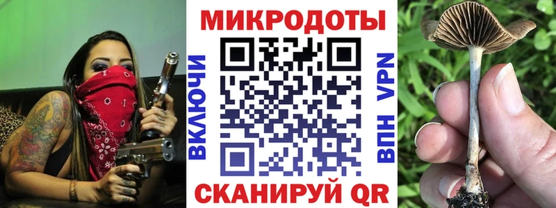 Псилоцибиновые грибы мухоморы  мега маркетплейс  Княгинино 