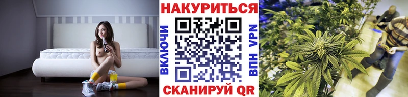 Конопля план  Княгинино 